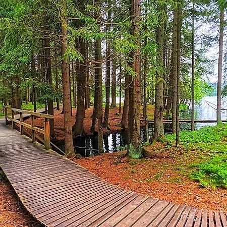 Orea Cristal Отель